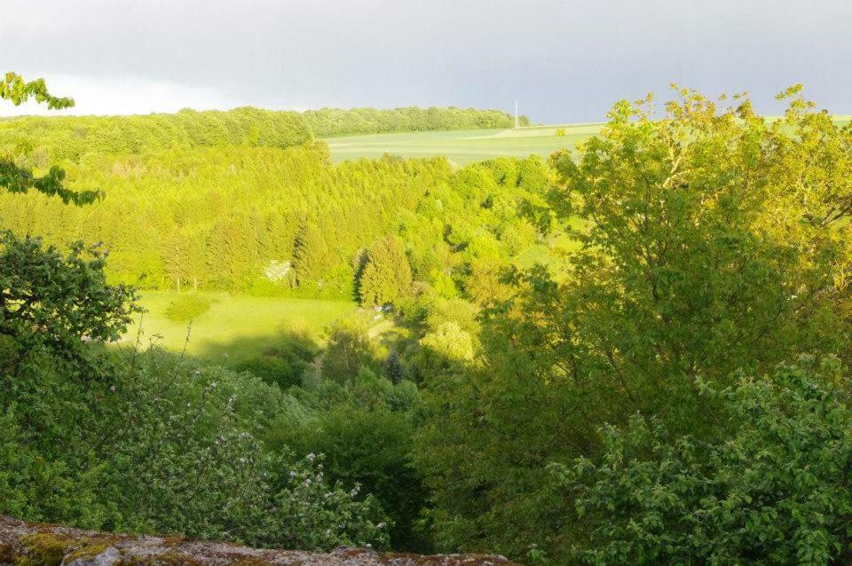 Dun-sur-Meuse B&B Chez Fouchs - Chambre D'Hotes المظهر الخارجي الصورة